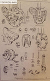Illustrated Catalogue of Spare Parts 1960, Copy