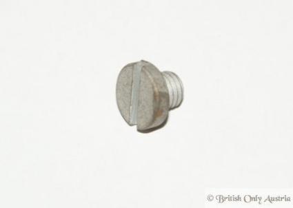 Vincent Cable Clip Screw